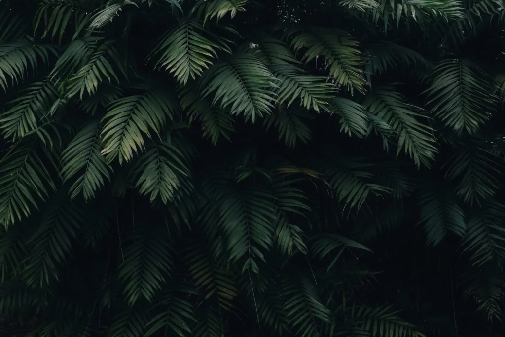 IZZI Background Leaf